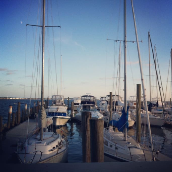 These are the boats at the local yatche club, a short walk away.