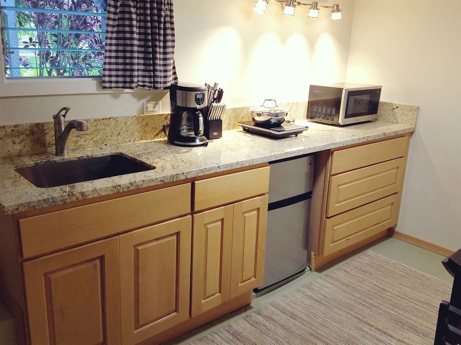 Granite counter top, stainless steel appliances, and induction hotplate. Microwave, refrigerator, and stainless steel deep sink.