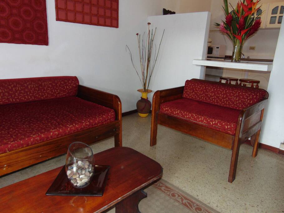 Apartment #17 is one of our larger units. It has a nice living room area great for family gatherings.
It also has a queen size bed in the master bedroom and lots of closet space.