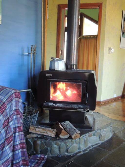 Toasty wood heater
