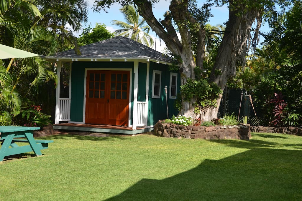Small Storage shed in the yard.