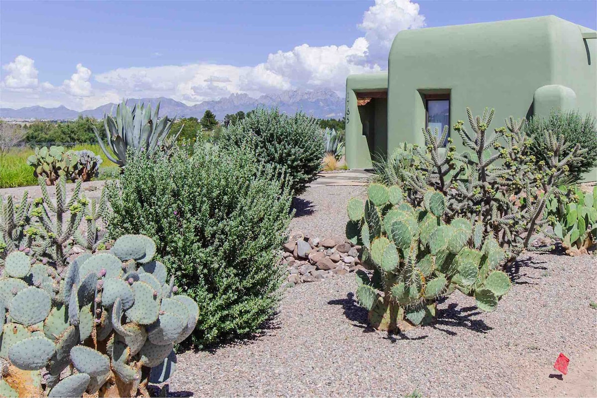 A vibrant garden filled with a variety of cactus plants is set against a striking adobe home. The landscape features a blend of succulents and a gravel path leading towards the green-colored building, with mountains visible in the background under a clear blue sky.