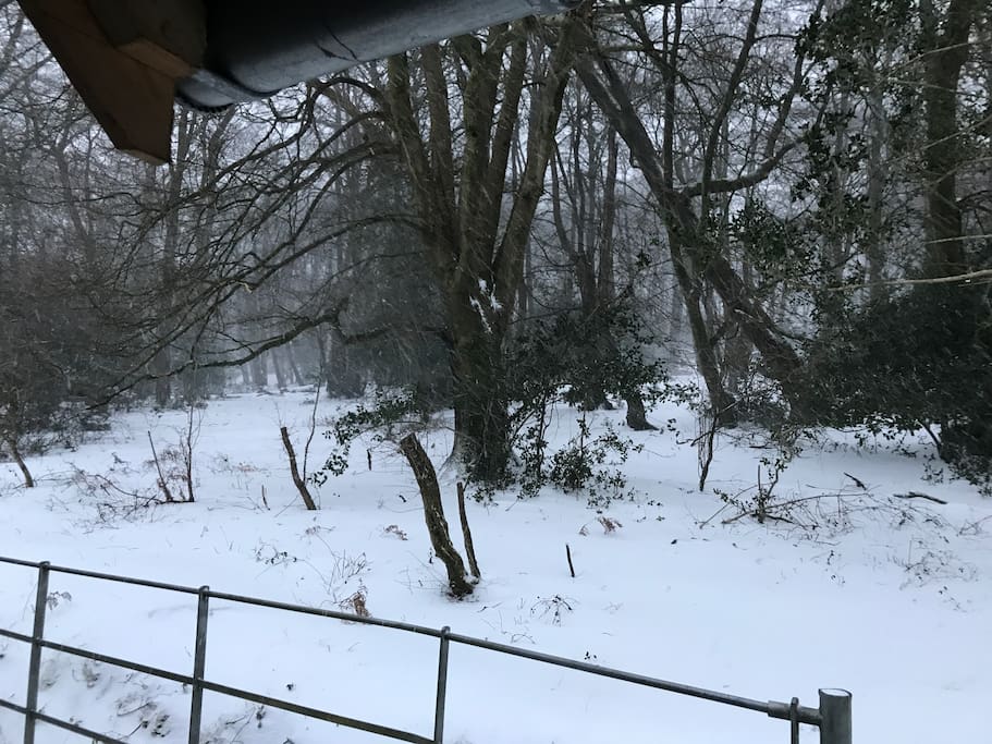 Then the Snow view!