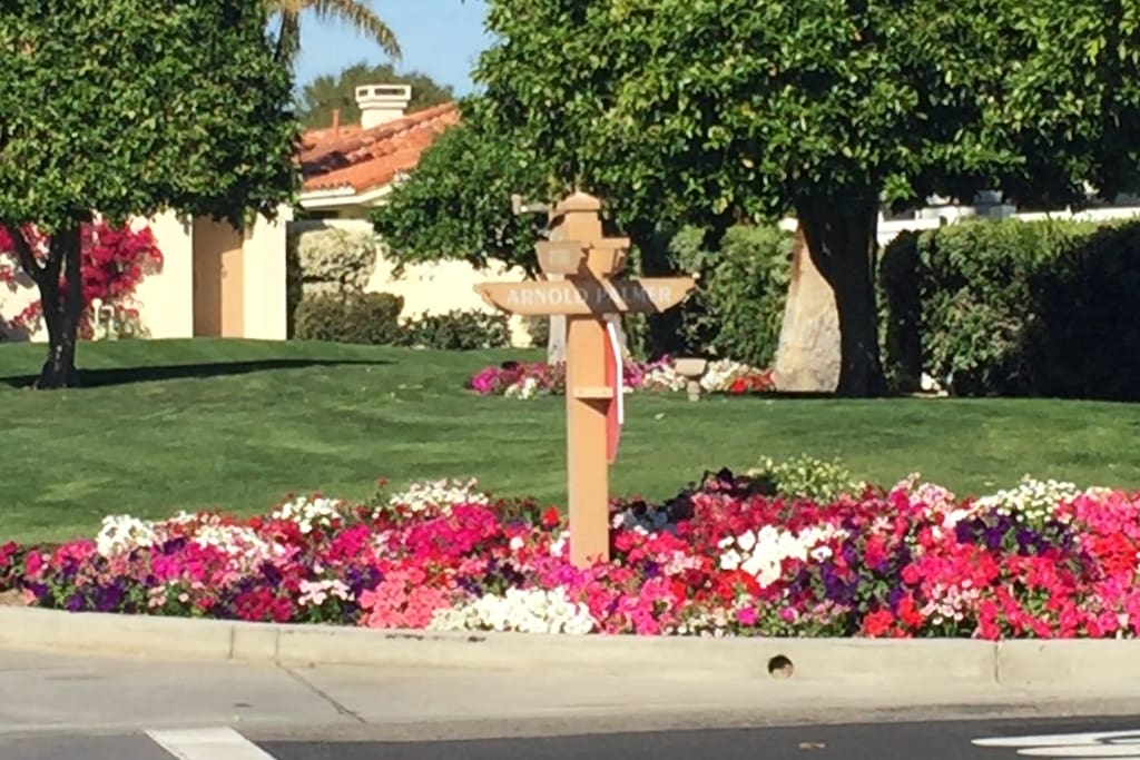 Neighborhood flower bed