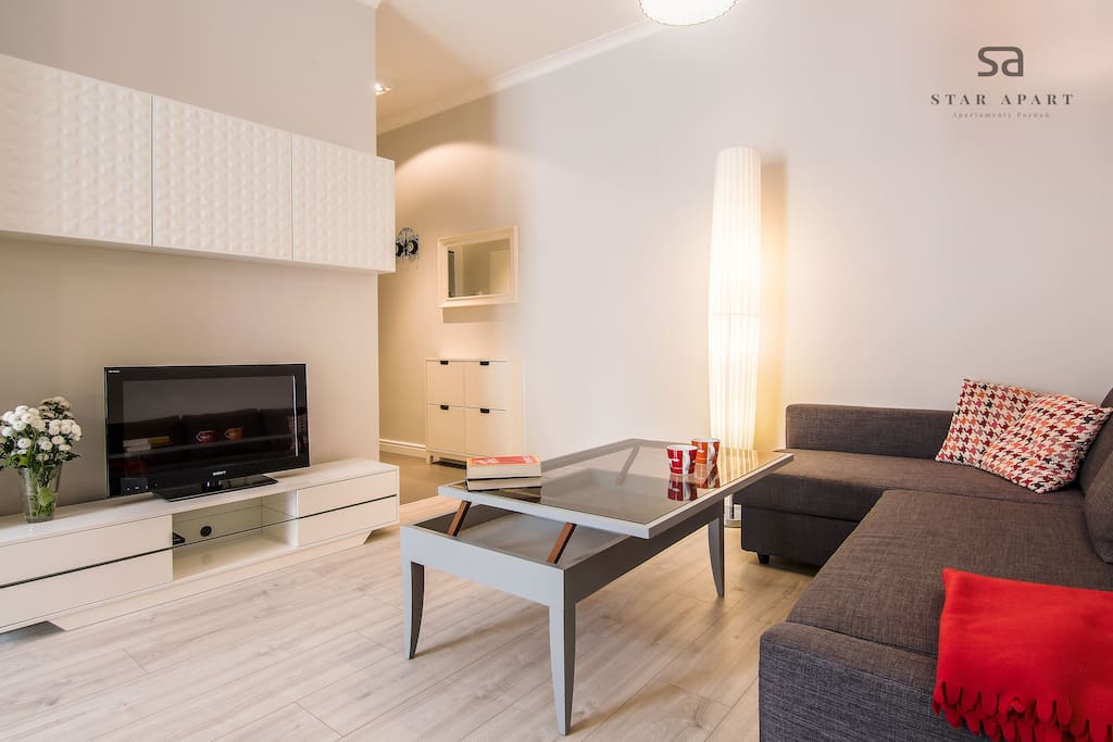 Salon, 2osobowa rozkładana sofa i TV typu LCD