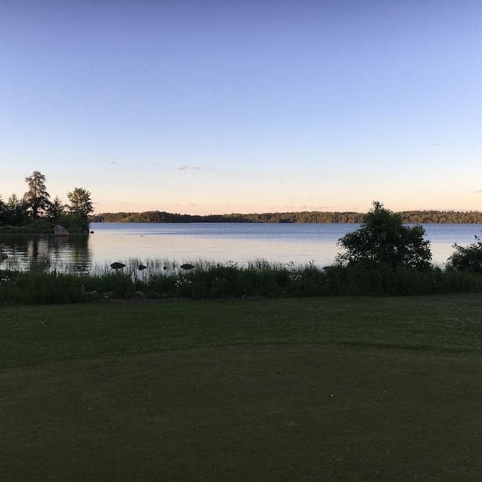 The view