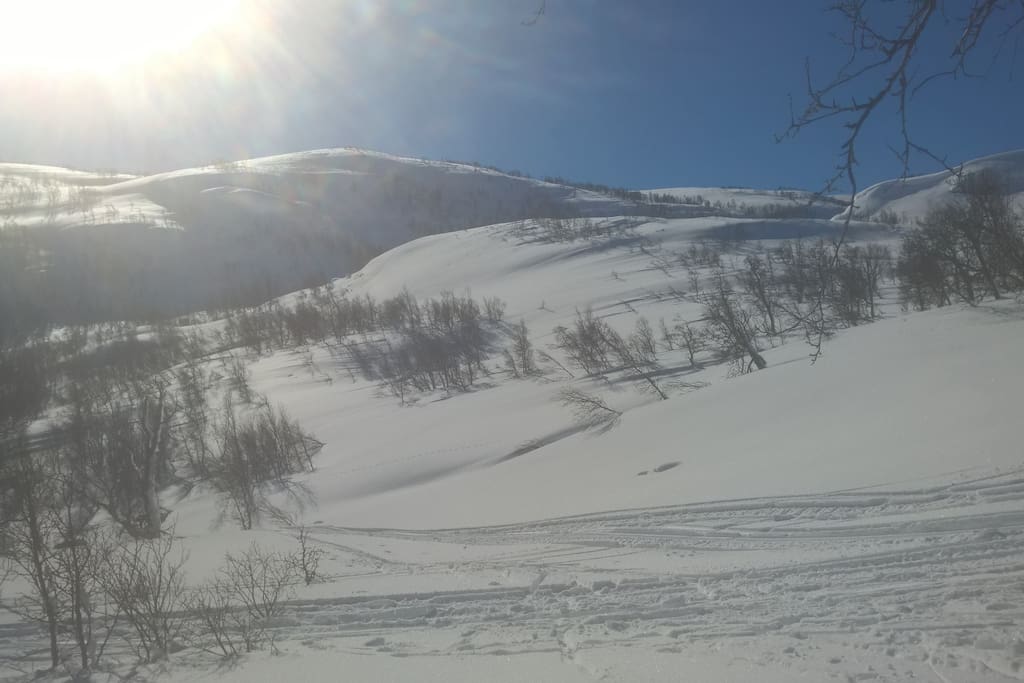 Fantastisk turterreng