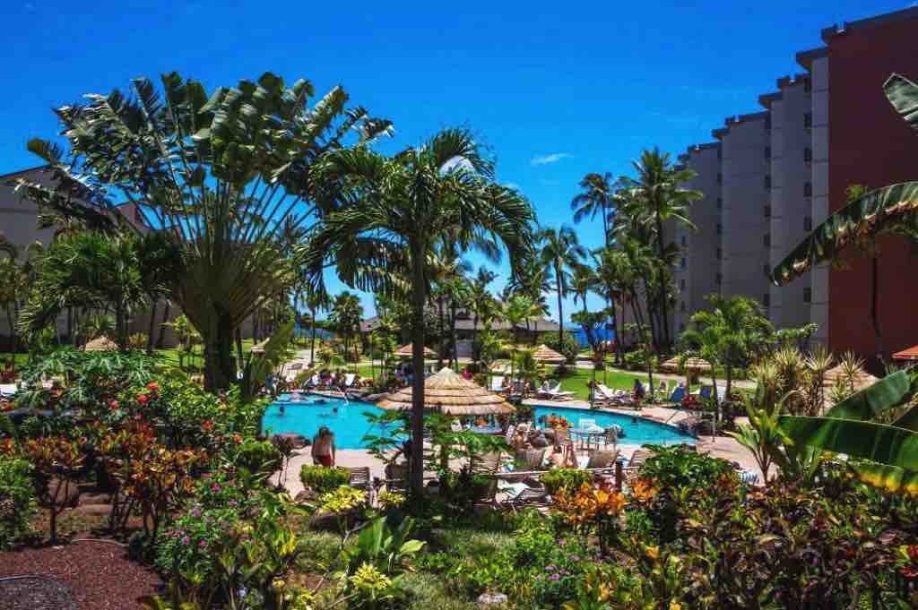 A vibrant tropical landscape is captured, featuring a clear pool surrounded by lush greenery and palm trees. Lounge chairs and thatched umbrellas provide shaded seating, and colorful flowers enhance the scene. The ocean can be glimpsed in the background, completing the inviting atmosphere.