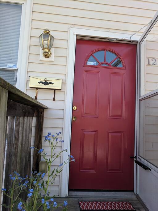 Painted the front door red (Liverpool FC red) to making it a little more cheerful!