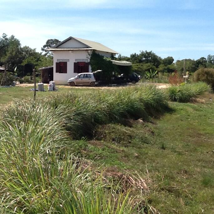 no 1 bungalow