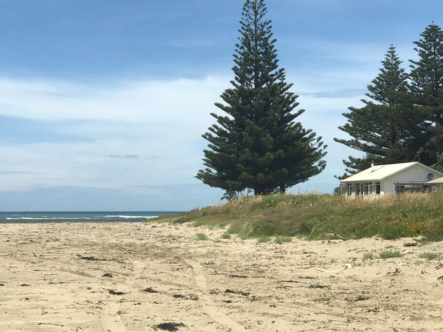 Absolute beach front paradise Bungalows for Rent in Aramoana, Hawke's