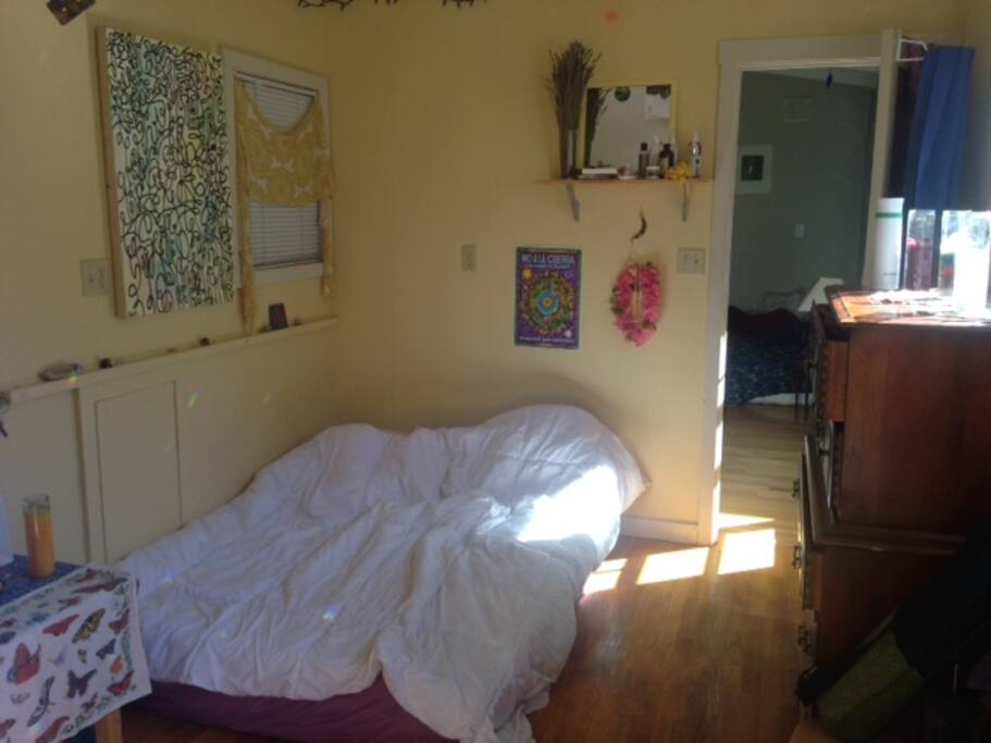 The room, hardwood floor, tons of natural light