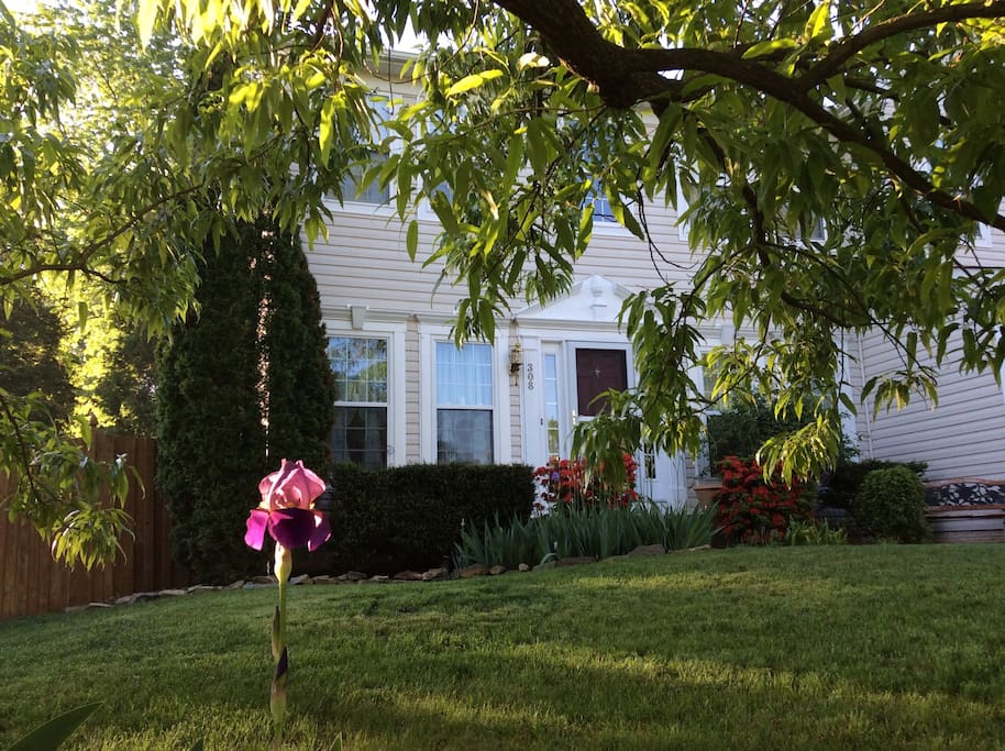 Front of House - Springtime View