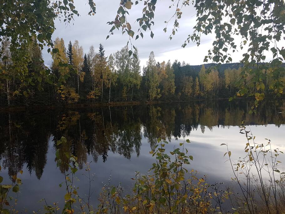 The river Urula, right outside the cabin. The lake Sperillen just a few minuts away in boat.