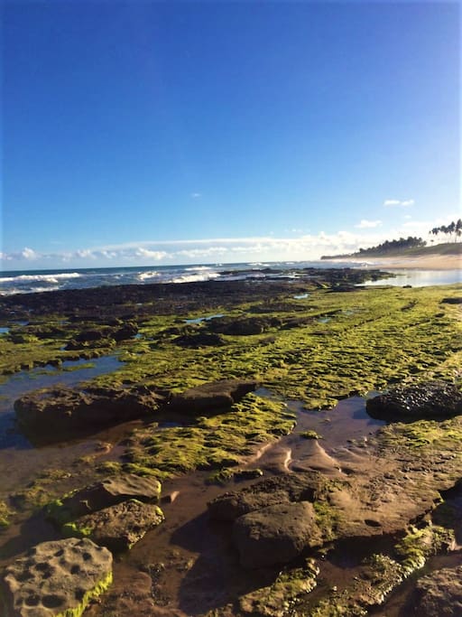 natural pools