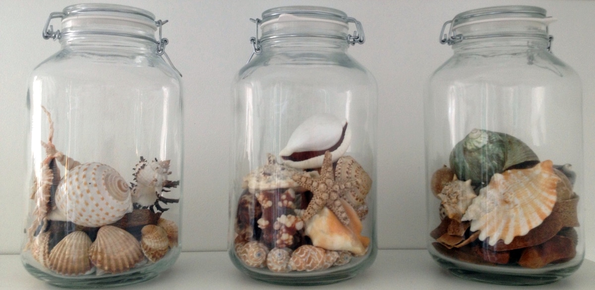 Three glass jars are displayed, each filled with a variety of seashells. The jars contain an assortment of shells, showcasing textures and shapes. The shells range from smooth to ridged, with colors including beige, white, and hints of orange, creating a coastal decorative motif.