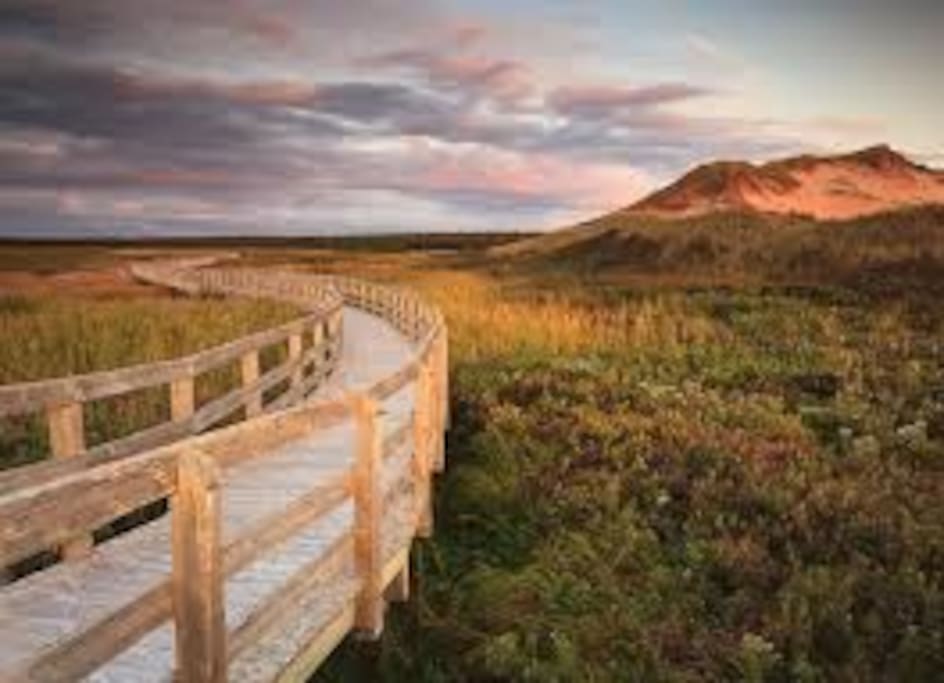 PEI offers up some of the most beautiful beaches in the world. All just a short drive away.