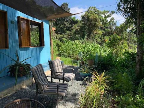 The Sugar Shack a unique cabin in the Rainforest