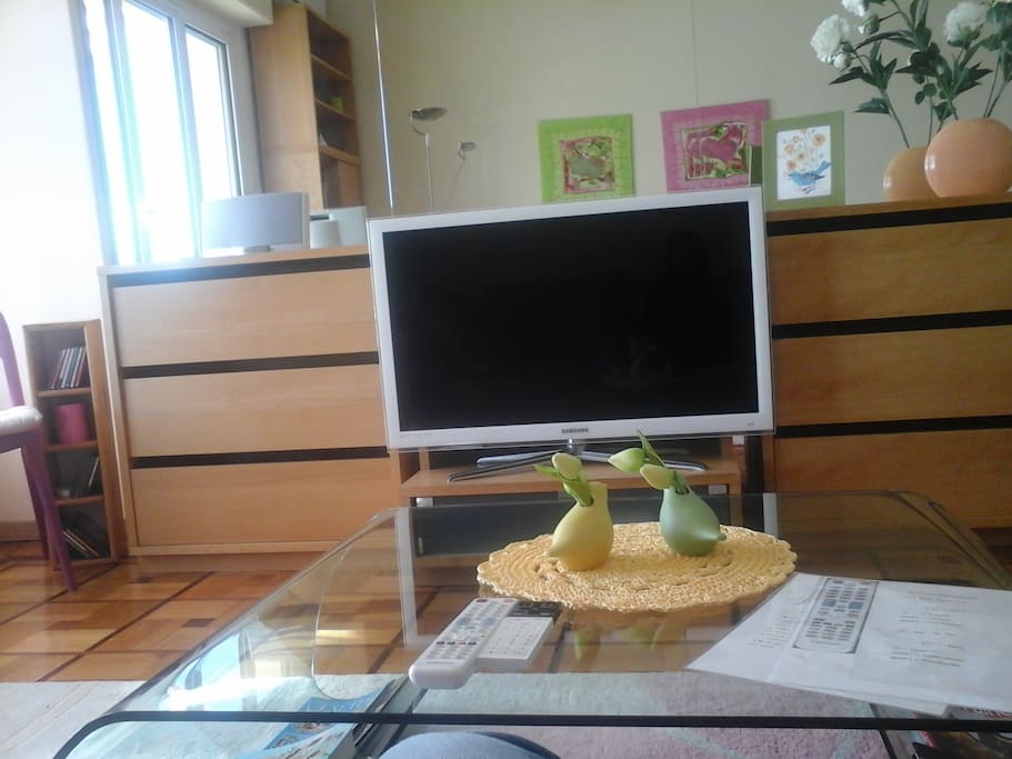 Satellite TV with Netflix