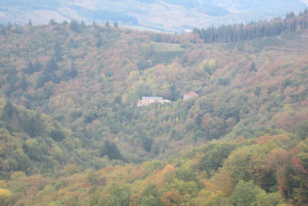 Vue de l'ensemble de la propriété en automne