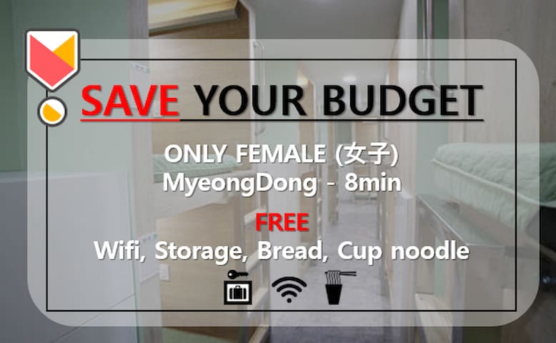 ★Saving Namsanhostel1  明洞/FEMALE 女子 CAPSULE DORM