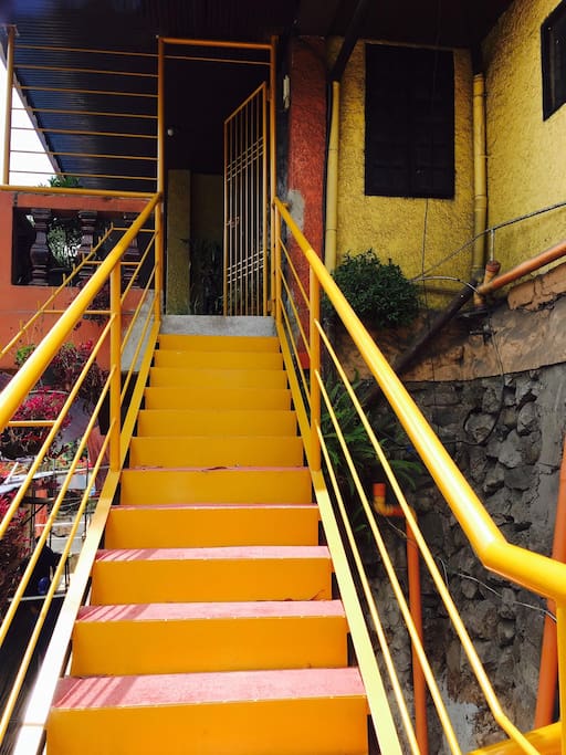 Stairway going inside the house