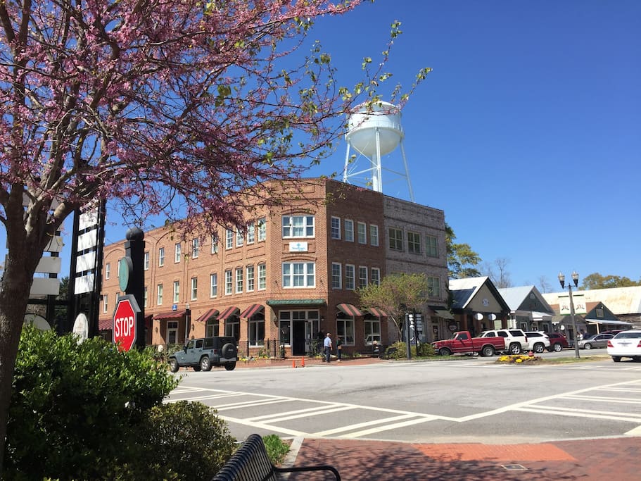 Downtown Senoia ( also known as Woodbury from Season 3 of The Walking Dead ) 2 miles from our house. Several amazing restaurants in town to choose from.