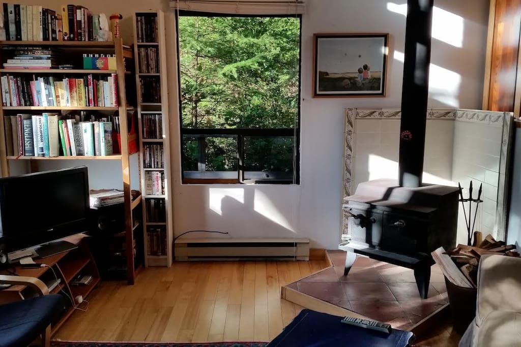 Wood-burning fireplace in addition to electric baseboard heating