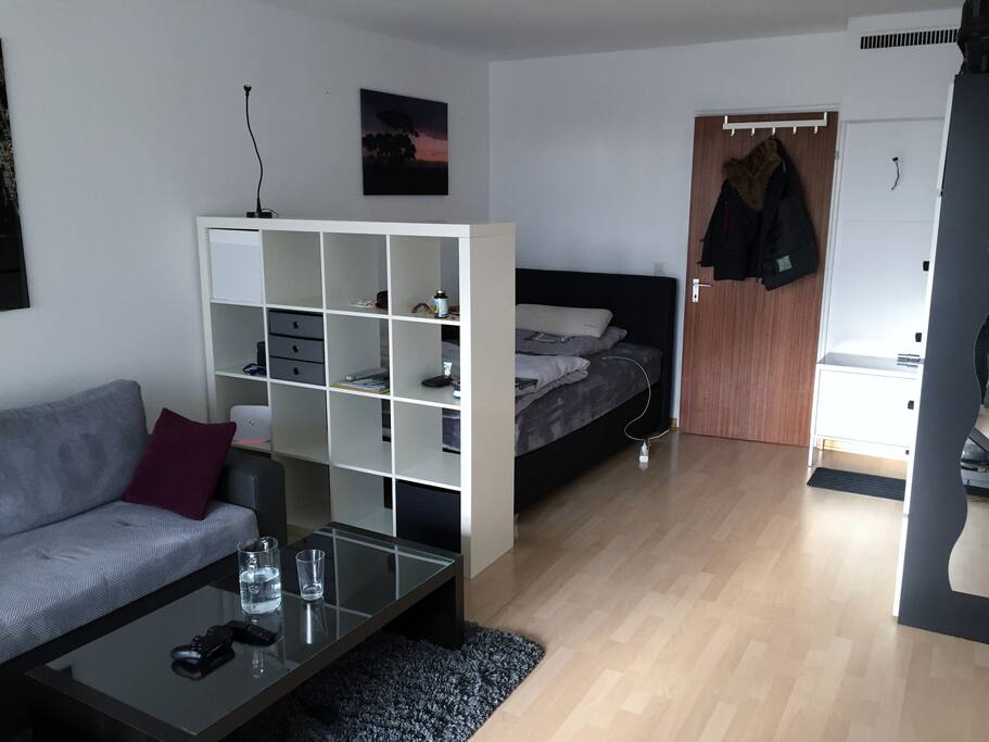 Big room with bed, sofa and TV