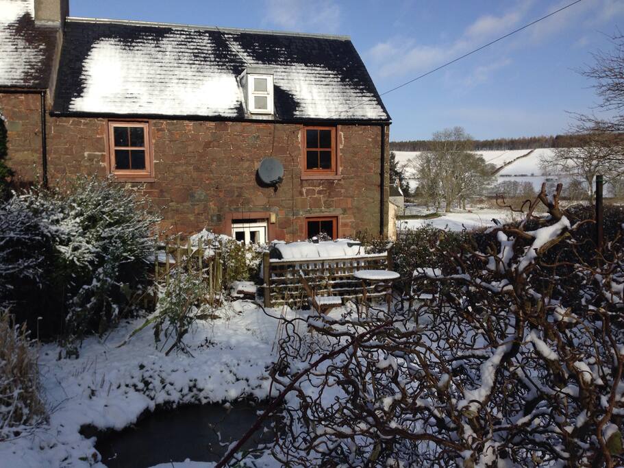 My house in snow