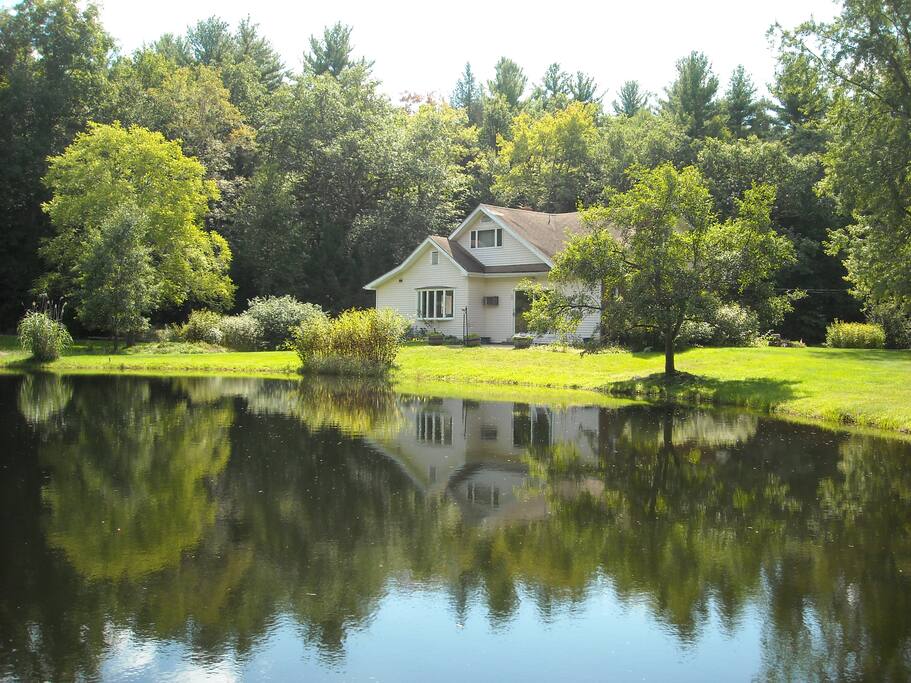 Pond