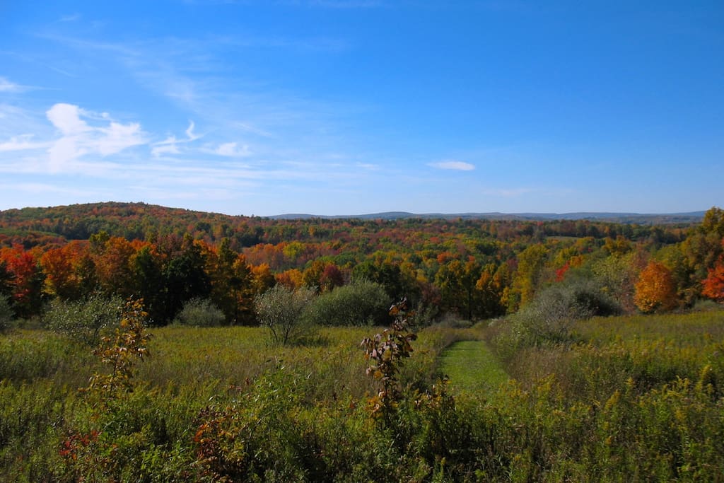 An autumn view from our upper meadow, on one of our much-loved trails
