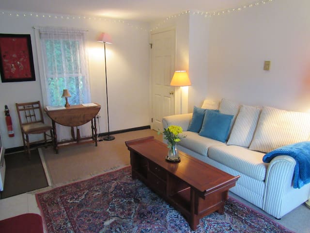 Cozy 1st Floor Apartment in Chestertown