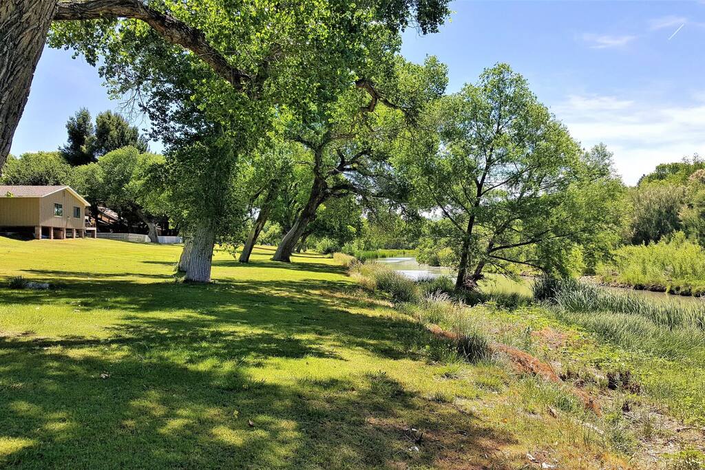River`s edge on property