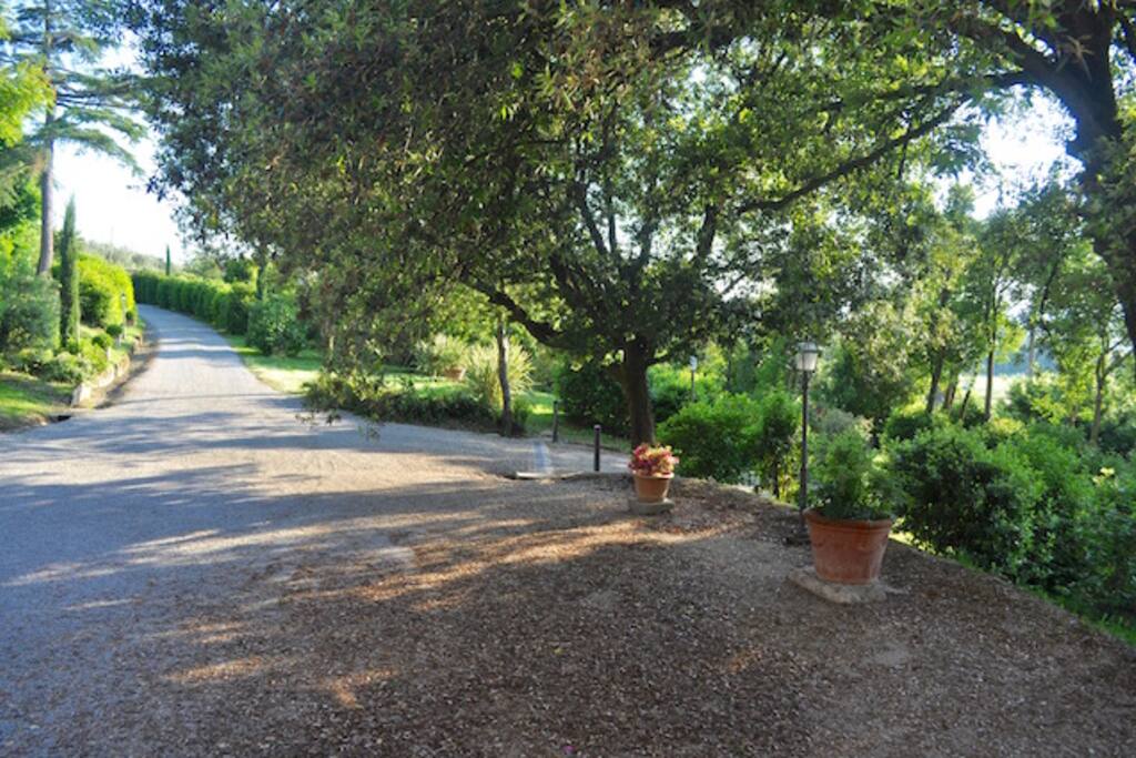 Viale privato di arrivo