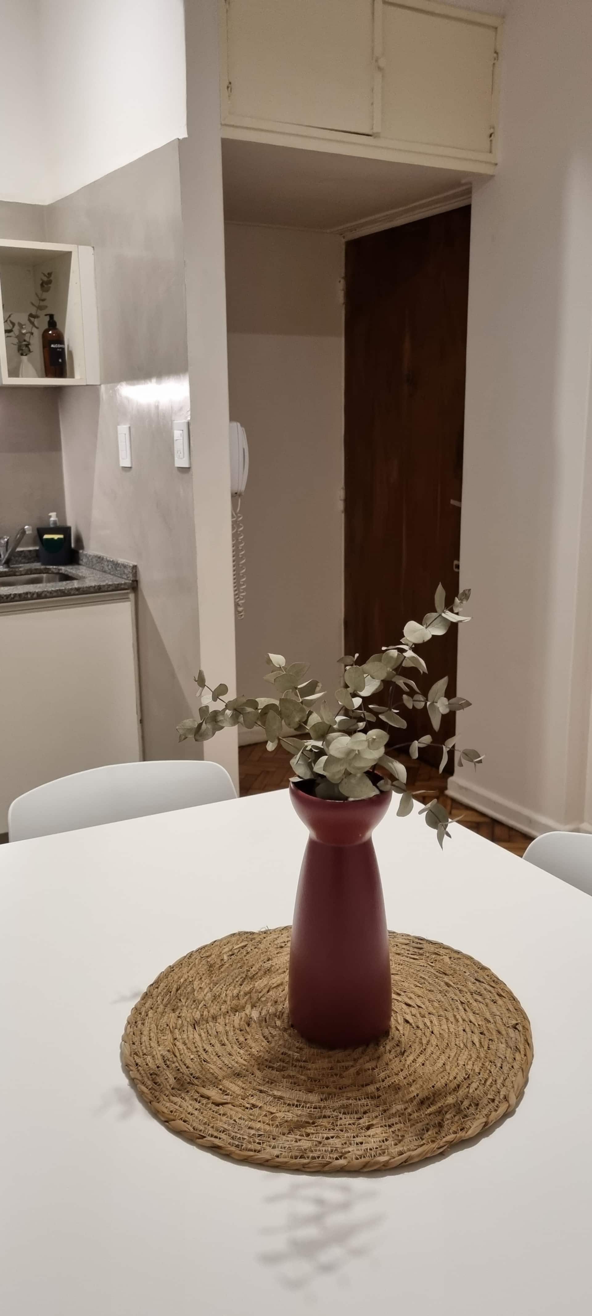 Apartment with terrace in Recoleta