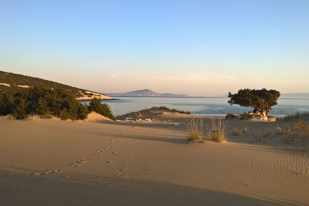 Beach