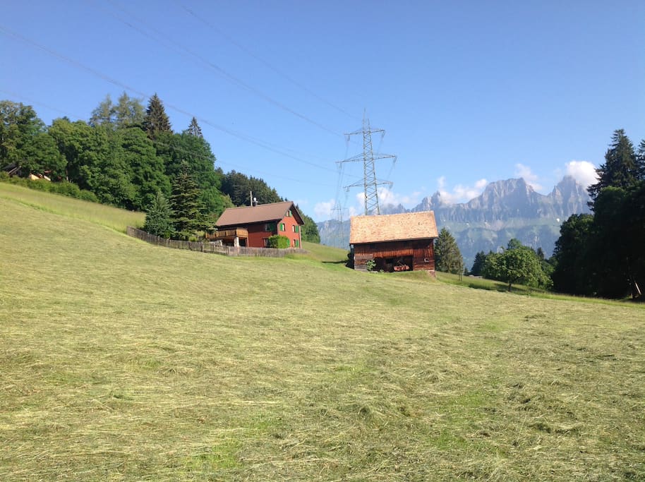 Wiese die zum Haus führt