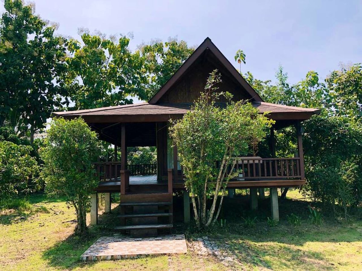 A wooden house surrounded by lush greenery is visible, featuring a spacious porch supported by columns. Steps lead up to the entryway, and the property is set against a backdrop of trees, creating a serene and private atmosphere.