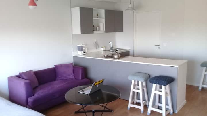 Furnished studio apartment on the 12th floor in Núñez