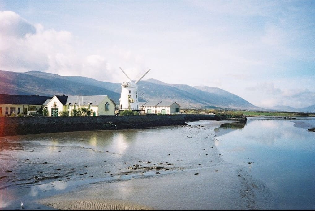 dating tralee co kerry Kerry - dating - listing - 47 searching for dating options and singles in kerry, look no further than anotherfriend we are the premium dating site covering all of ireland and the rest of the world. dating tralee co kerry Kerry - dating - listing - 47 searching for dating options and singles in kerry, look no further than anotherfriend we are the premium dating site covering all of ireland and the rest of the world.
