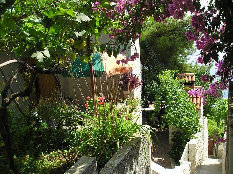 courtyard