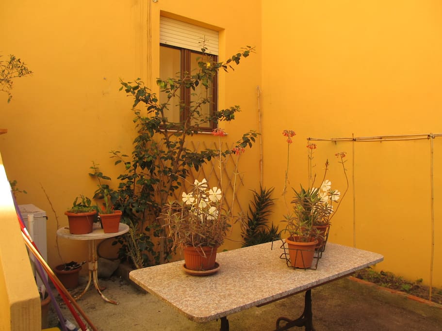 Court yard with dining table