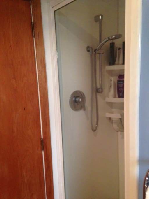 Mains pressure shower