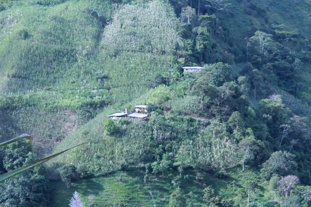 Vive la experiencoa de internarte en las montañas cafeteras del centro occidente del pais, siente la brisa, las aguas y los cantos del chocó biogeografico.