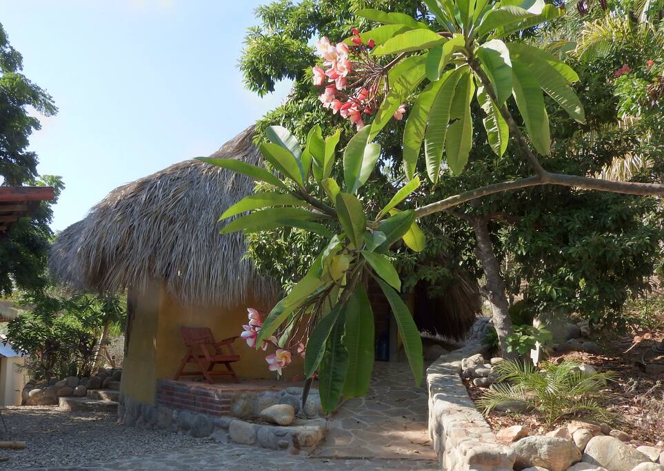 Entrance to bungalows and kitchen