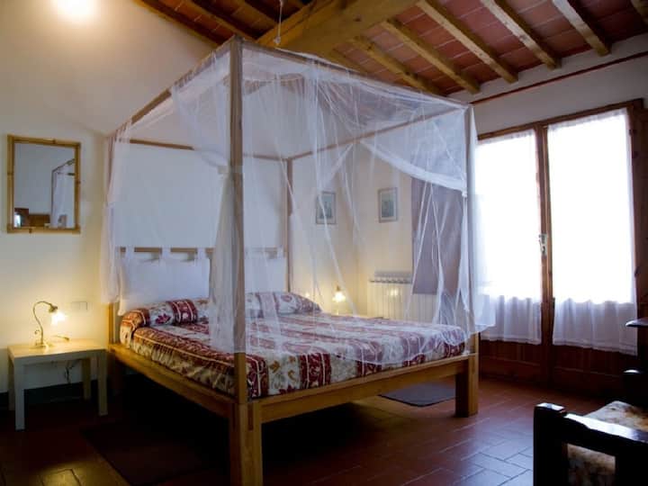 Ორადგილიანი ნომერი კოლი 1 1