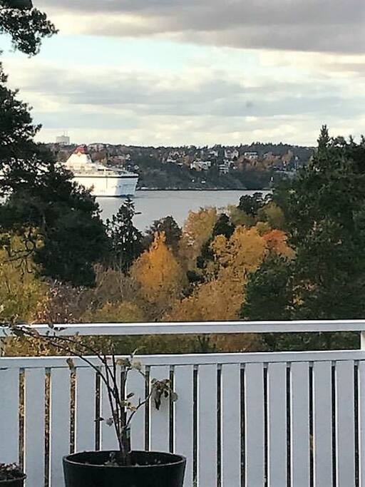 View from the terrace