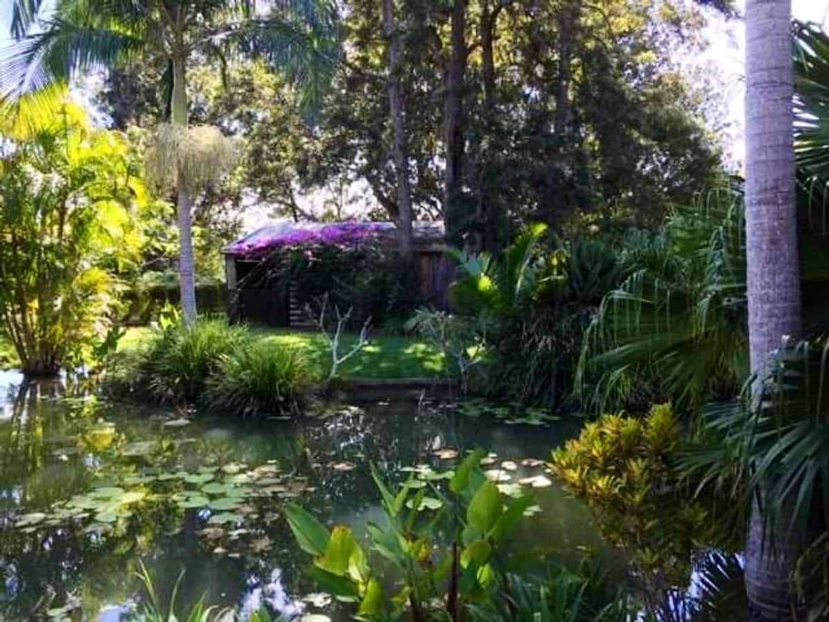 Crystal Cottage Retreat: Escape to the Hinterland! — photo via the host's Airbnb listing