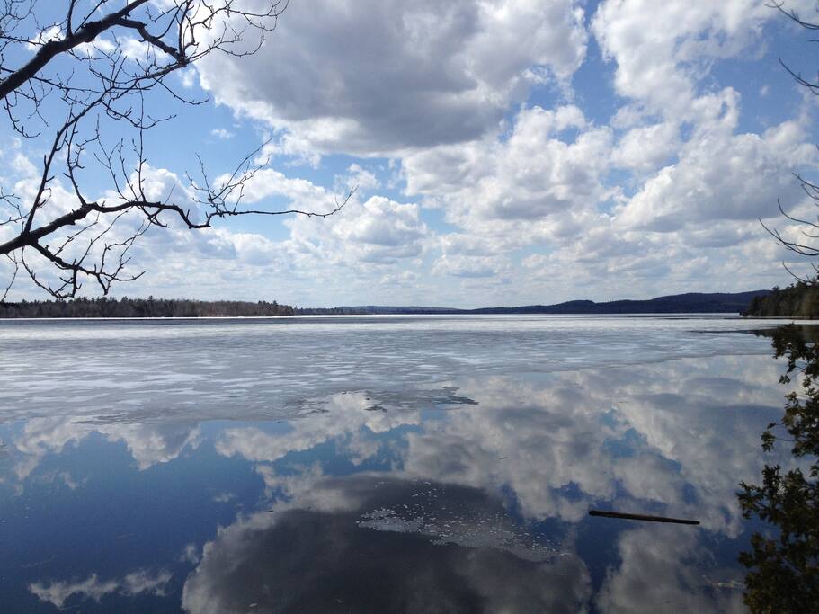 A chilly November perfect reflection on Boyden Lake